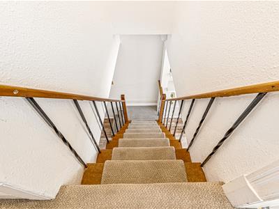 Picture 24